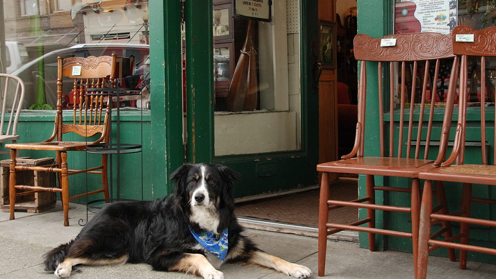 ペットショップ（東京都）